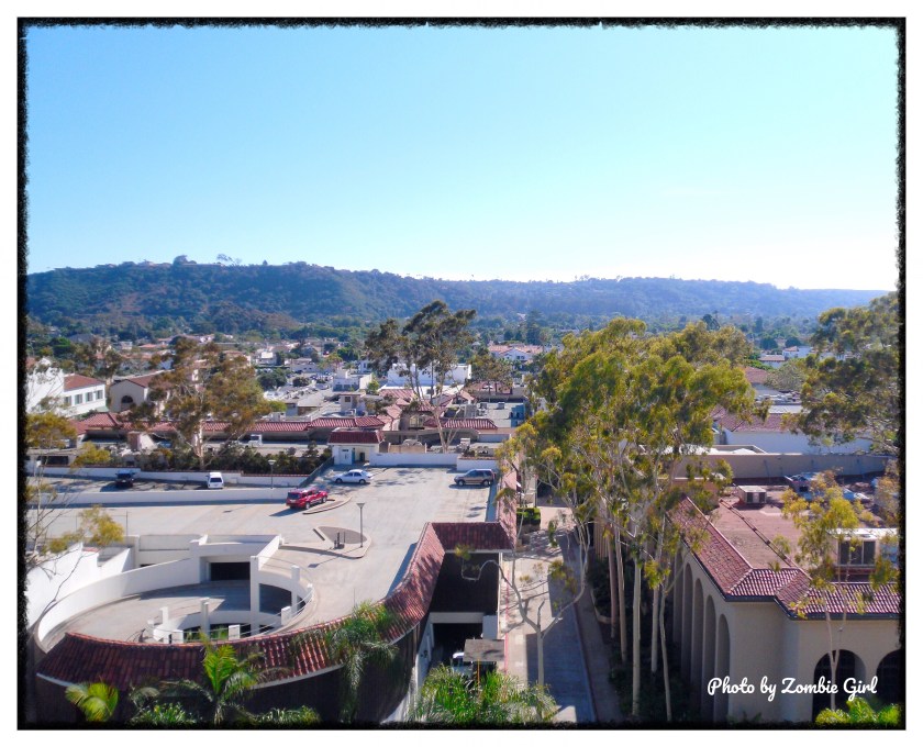 The view from the roof of the Court House in Santa Barbara 
