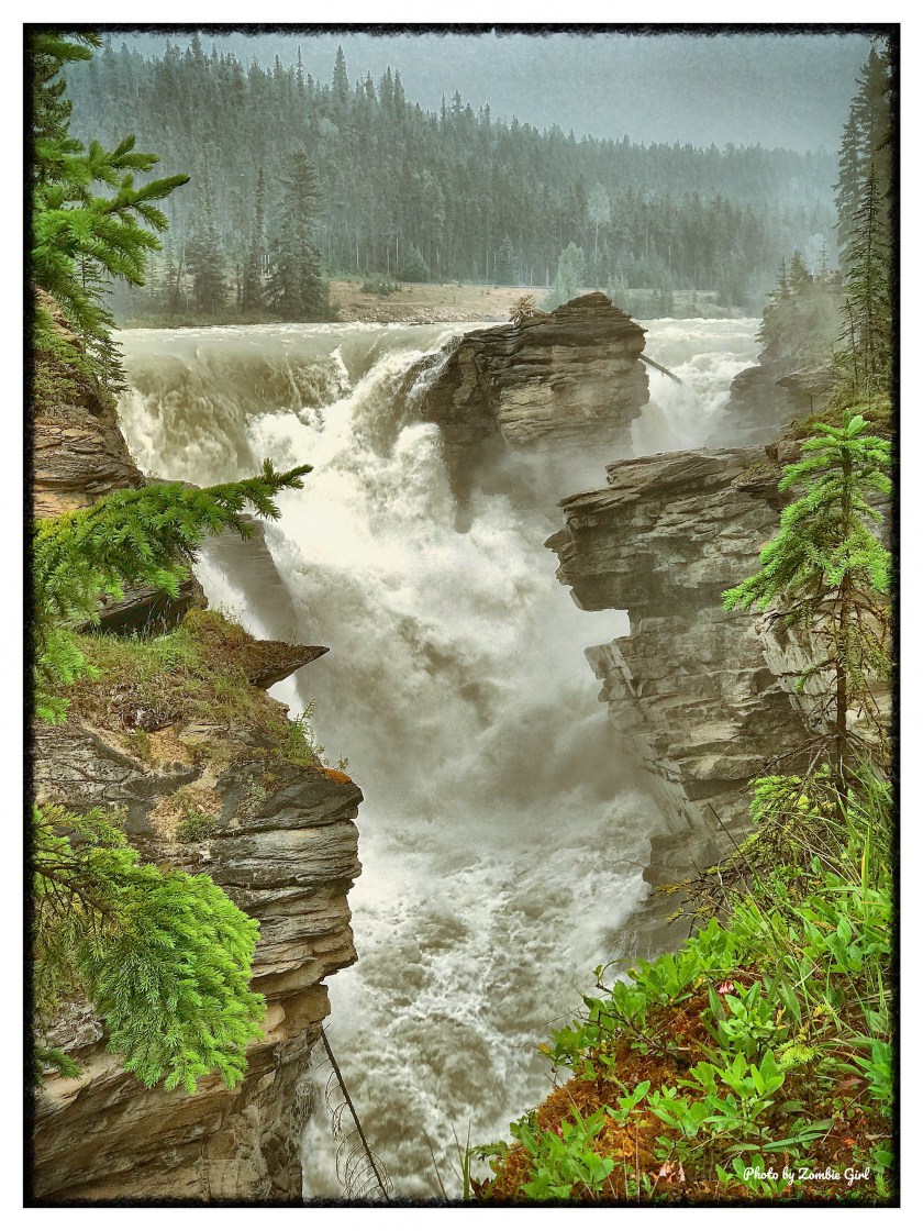 The water thunders down into the chasm at Athabasca Falls