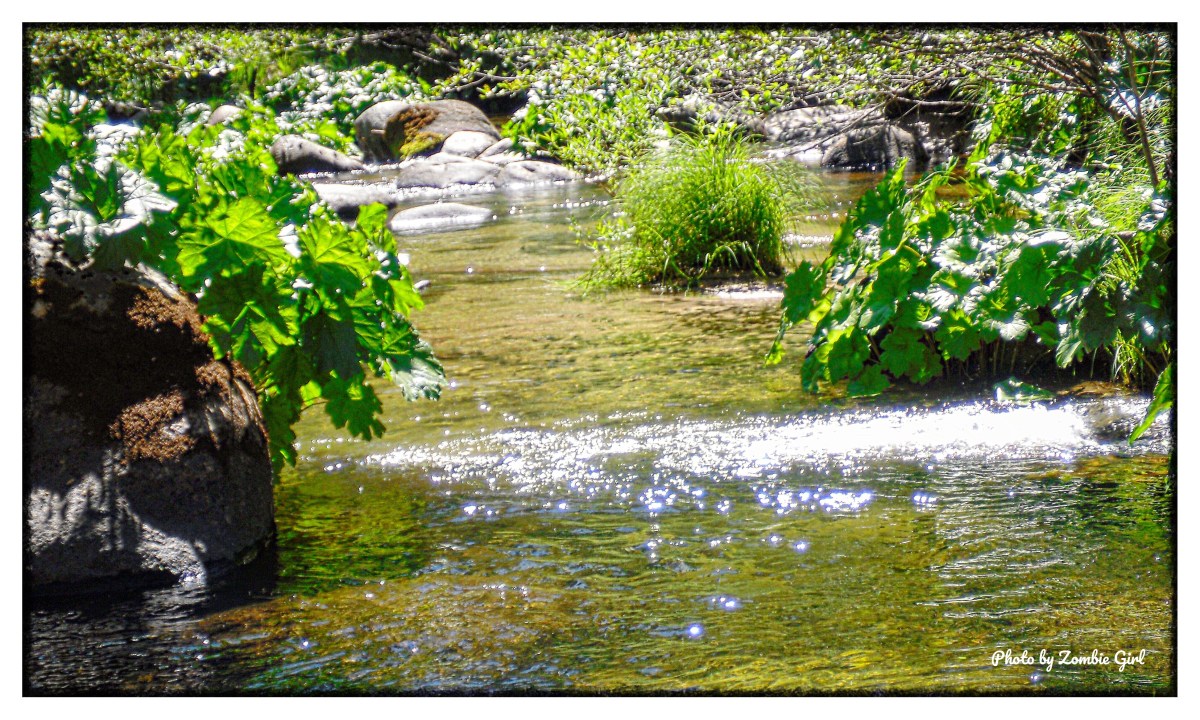 Sleeping in the Car: What Adventures Are Made&nbsp;Of